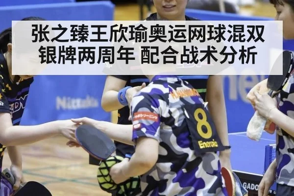张之臻王欣瑜奥运网球混双银牌两周年 配合战术分析